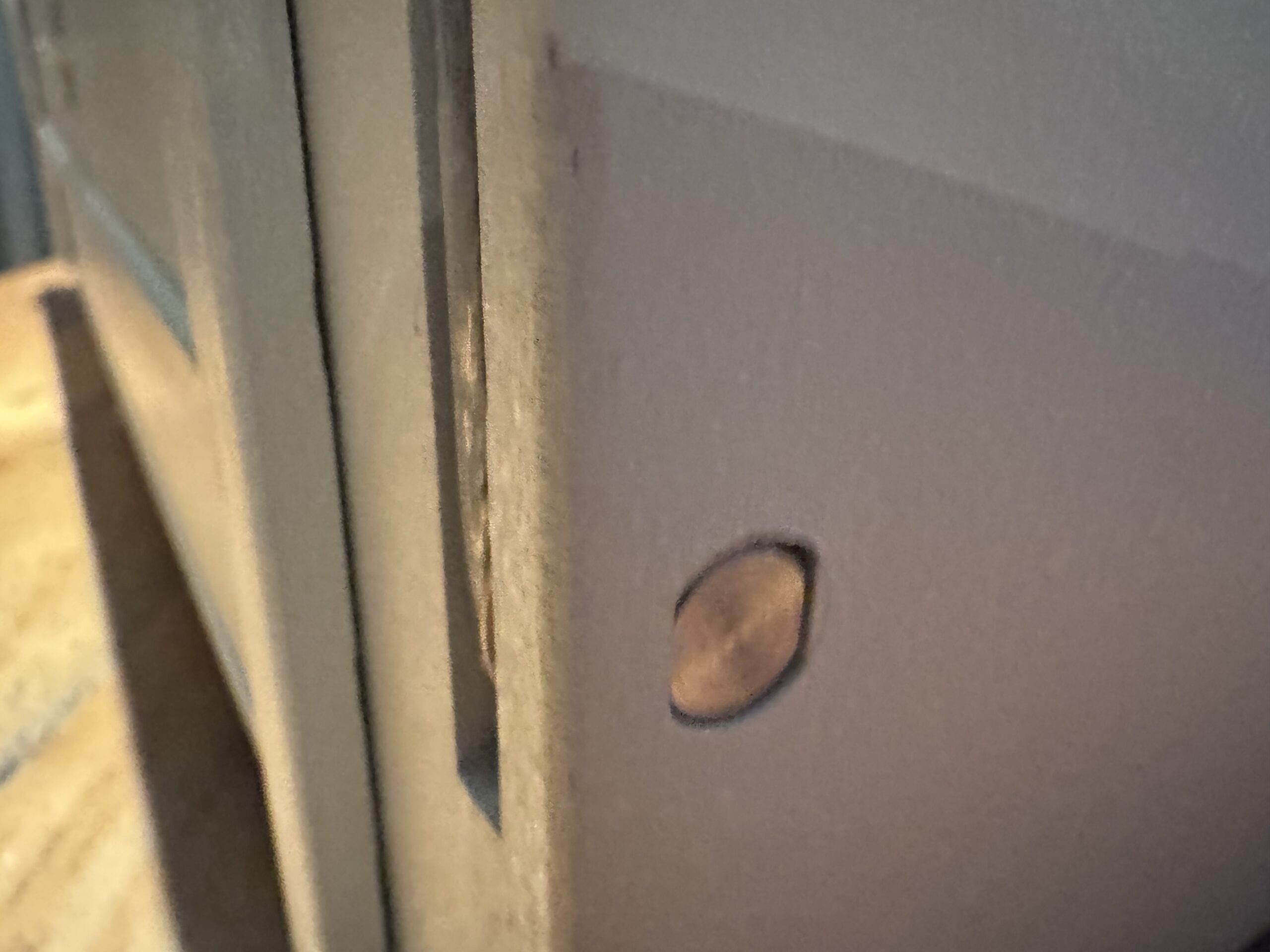 Rear ports and connections of the IBM 5155.